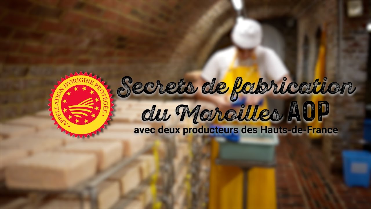 Les secrets de fabrication du Maroilles AOP