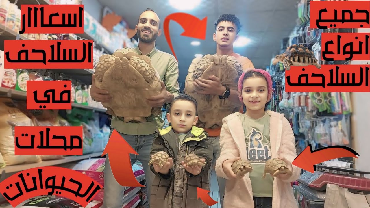 اسعااار السلاحف فى محلات الحيوانات بالتفصيييل مصرى يونانى سولكاتا ضخمة وازاى تربيها وتنتج منها و؟!!