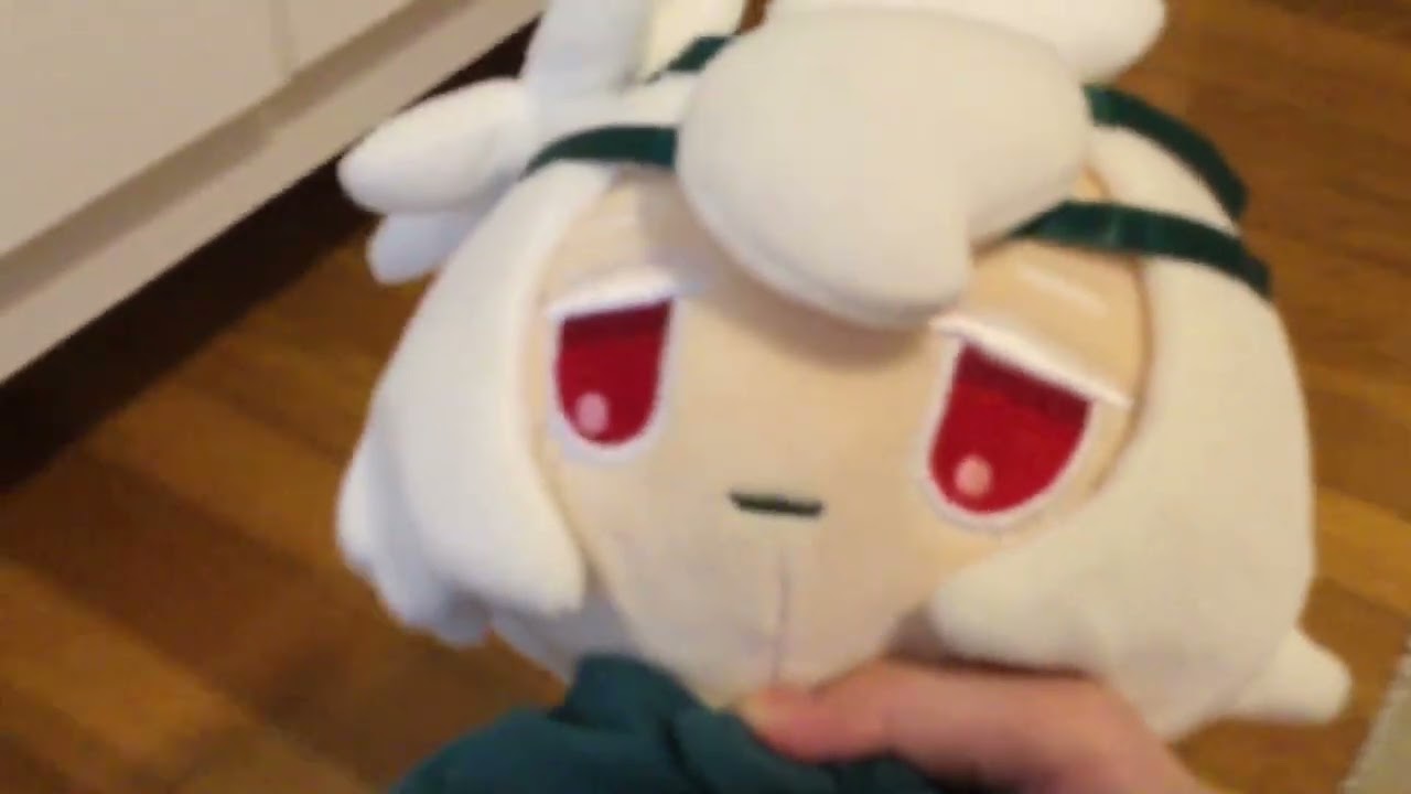 My plushies sleepover yesterday