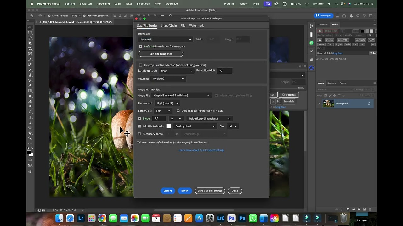 Document titel plaatsen in WSP