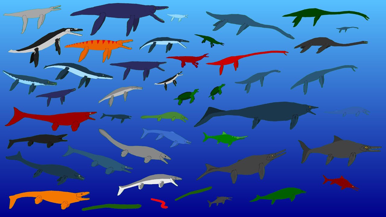 44 Largest Extinct Reptiles - Size Comparison = (Plesiosaurs Pliosaurs Ichtyosaurs Mosasaurs)