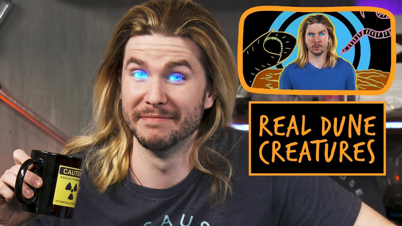 This Dune Creature Actually Exists | Because Science Footnotes