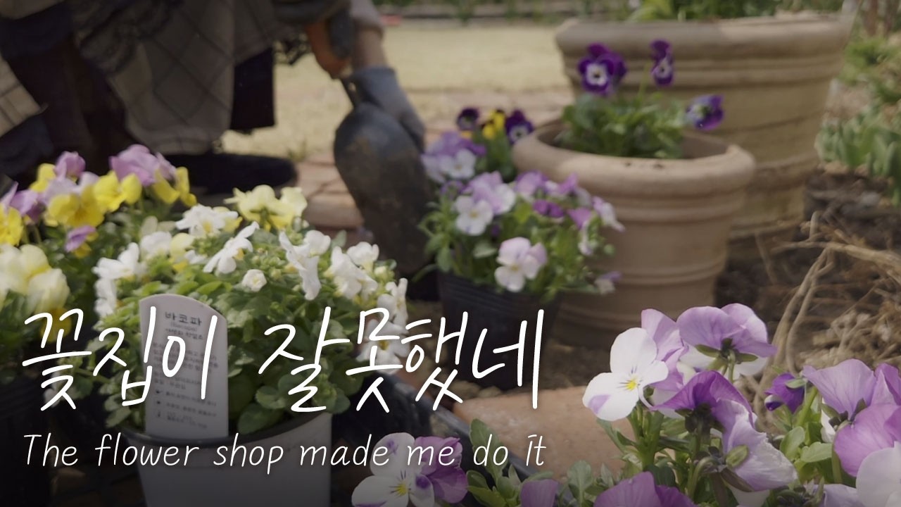 꽃집 구경만 가능한 사람 있나요? 정신차려보니 양손에 꽃가득 / 드디어 장미전정 / 목수국, 아나벨수국 전정 같이해요