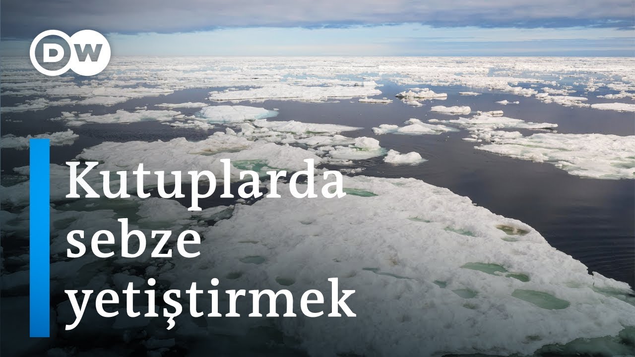 Norveç'te kutup gecesi bahçesi - DW Türkçe