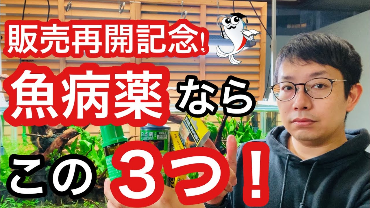 【魚病薬販売再開!】観賞魚用魚病薬でよく使われる