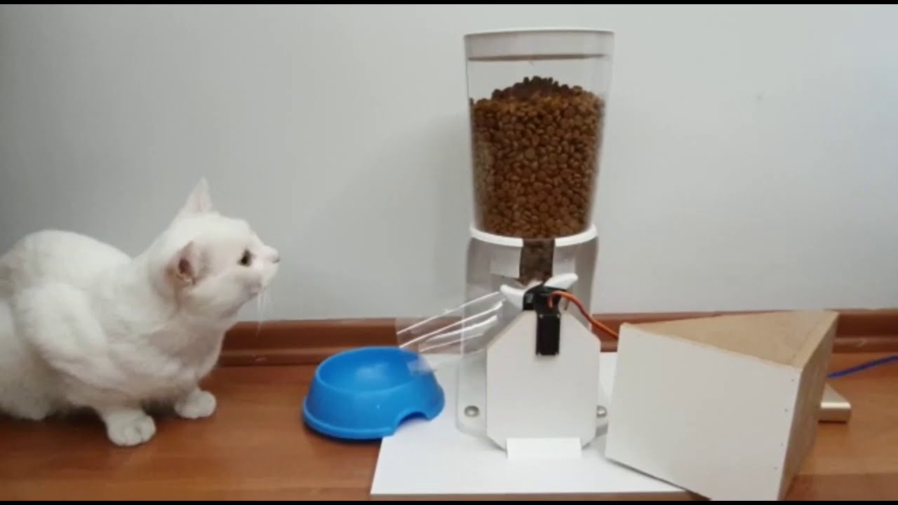 Mikroişlemciler Ve Programlama |Arduino ile Otomatik Kedi Besleyici
