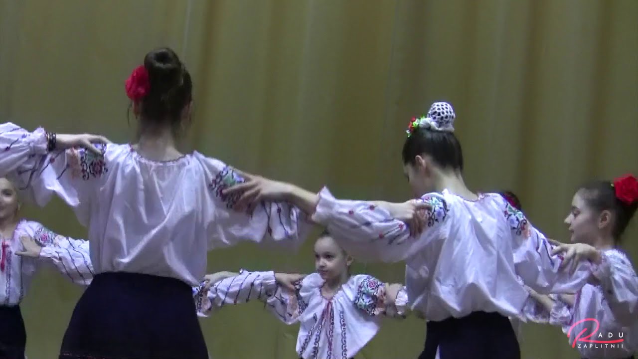 Sarba din Bugeac - coregraf Zinovie Zaplitnii 24.02.21