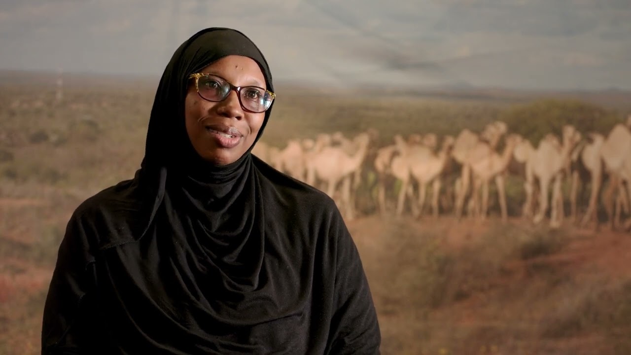 What is needed to improve weather and climate information services for pastoralists? 2025 workshop