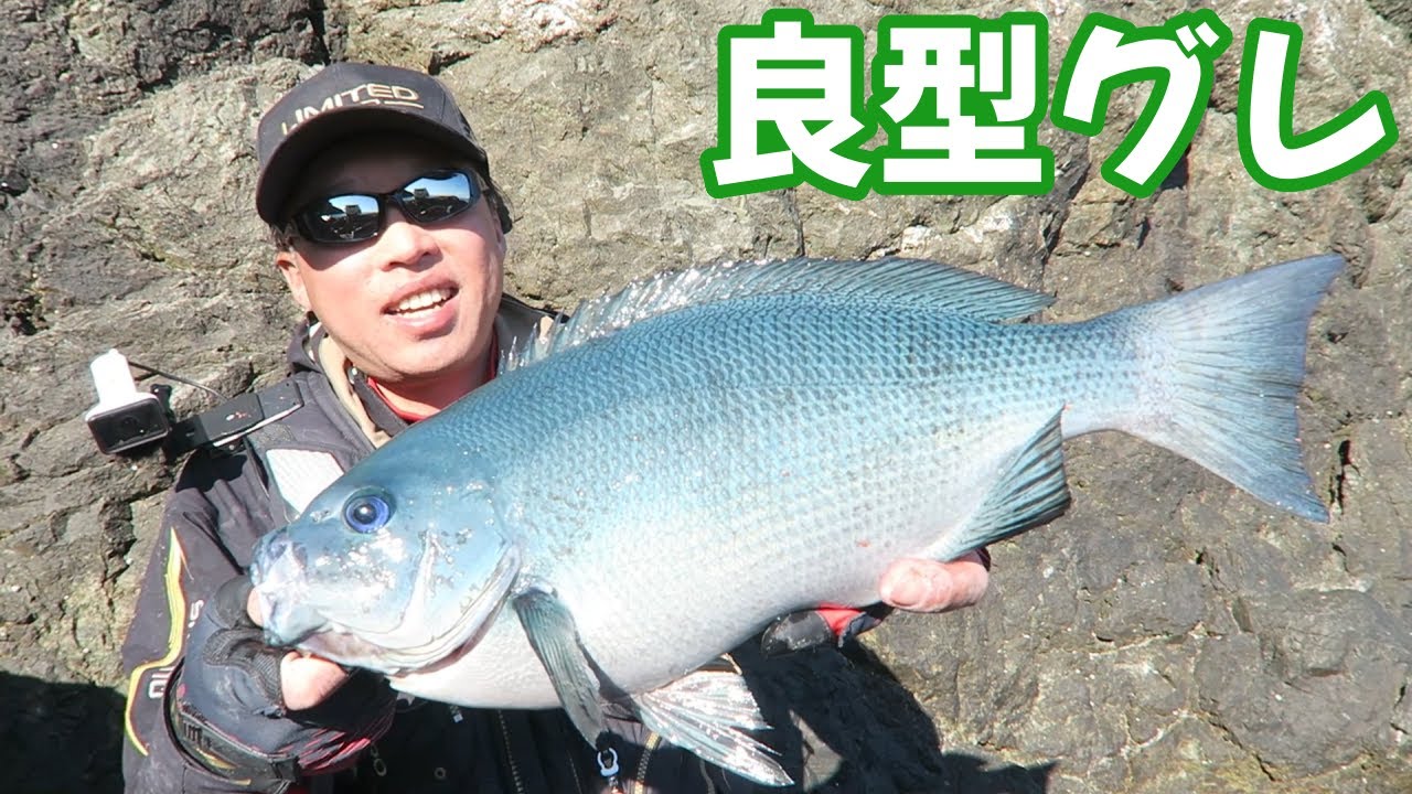 潮が流れなくなったと思いきや・・・