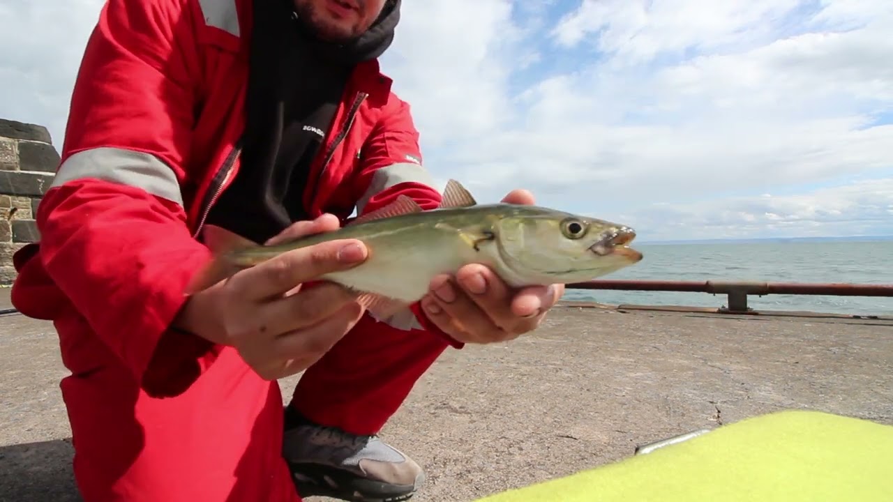 FISHING ANSTRUTHER FIFE