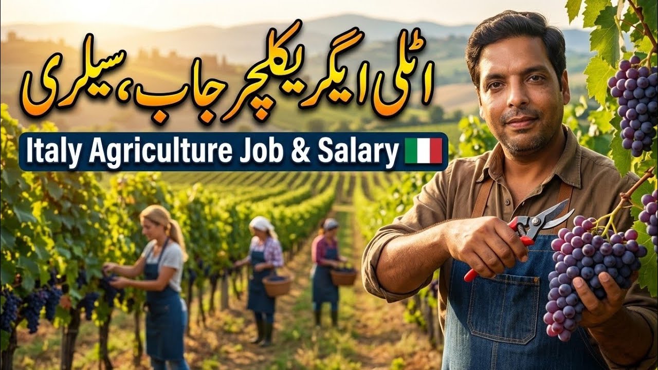 Italy agriculture jobs, salary | monthly income | work in Italy | Pakistani workers in italy