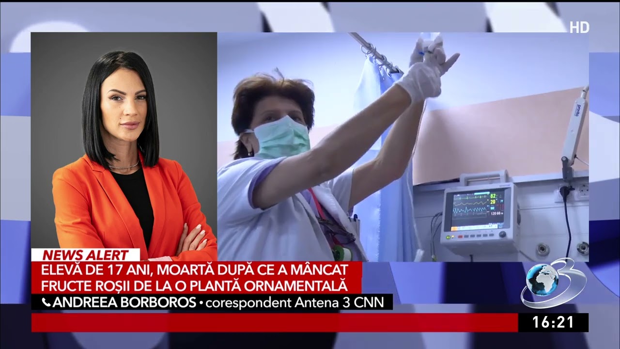 O elevă din Timişoara a murit după ce a m&acirc;ncat fructe roşii de la o plantă ornamentală