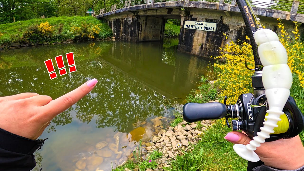 Je pêche dans ce vieux canal et c'est rempli de poisson... ( Ouverture carnassier 2024 )