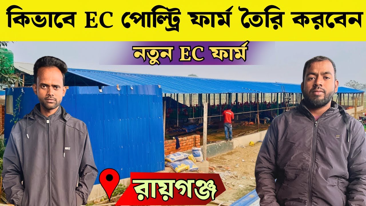 EC পোল্ট্রি ফার্ম কিভাবে তৈরি করবেন | EC Poultry Farm