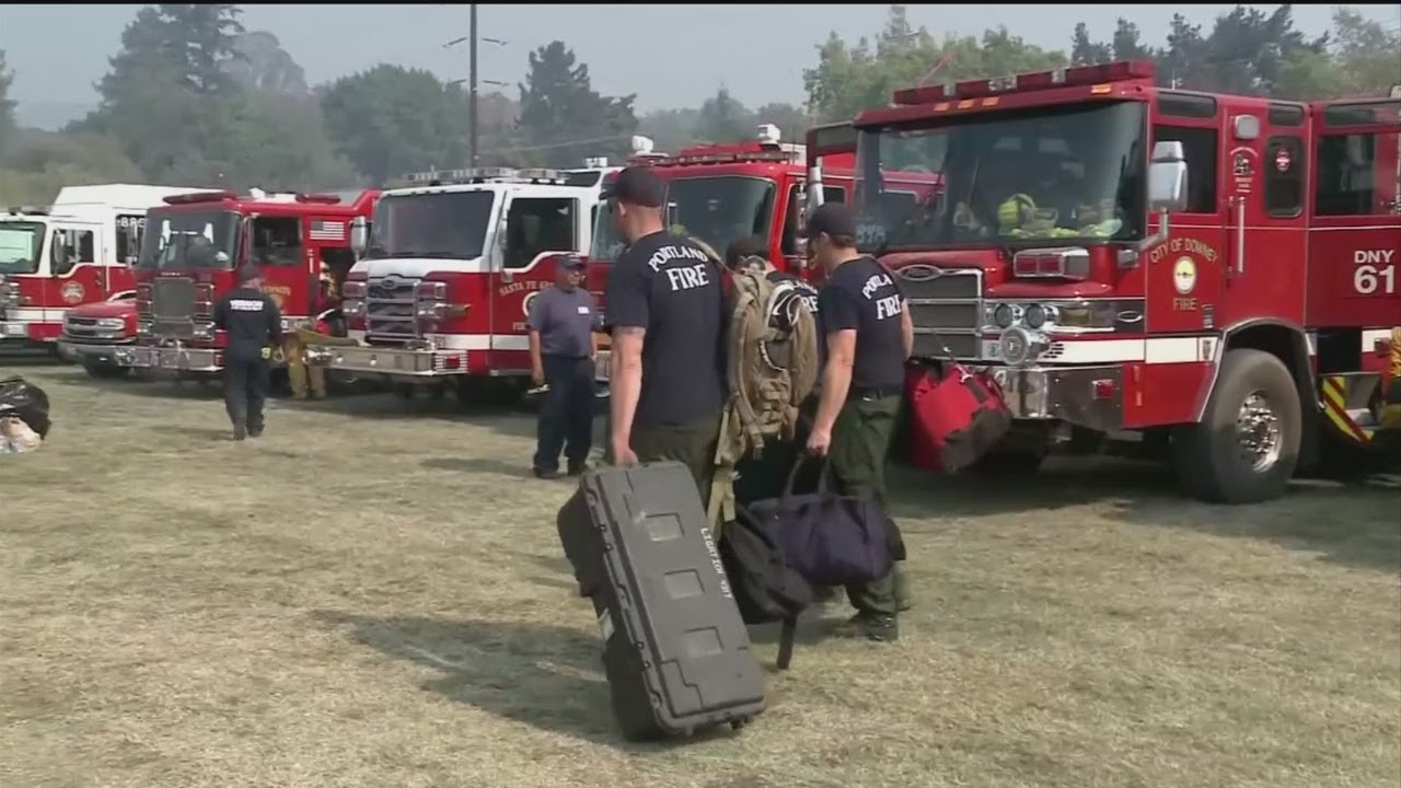 Daniel Berlant, Fire Update