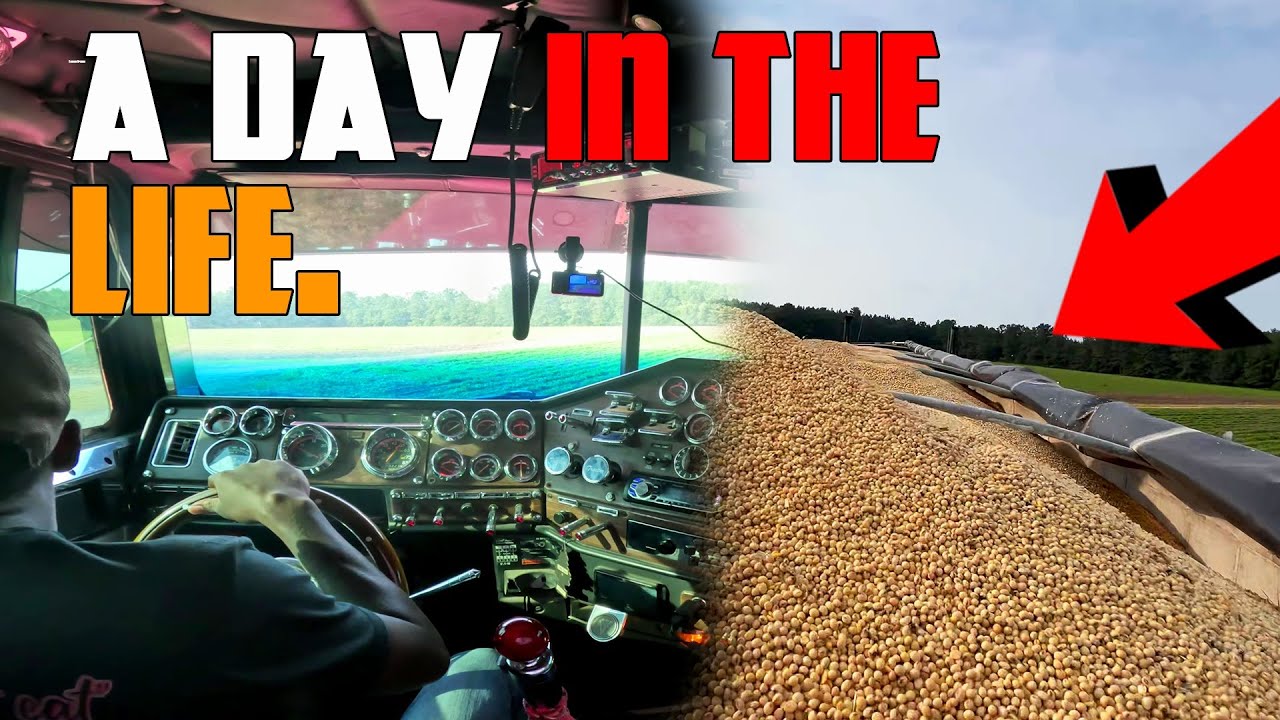 A Day In The Life Of A Truck Driver Chasing His Dreams
