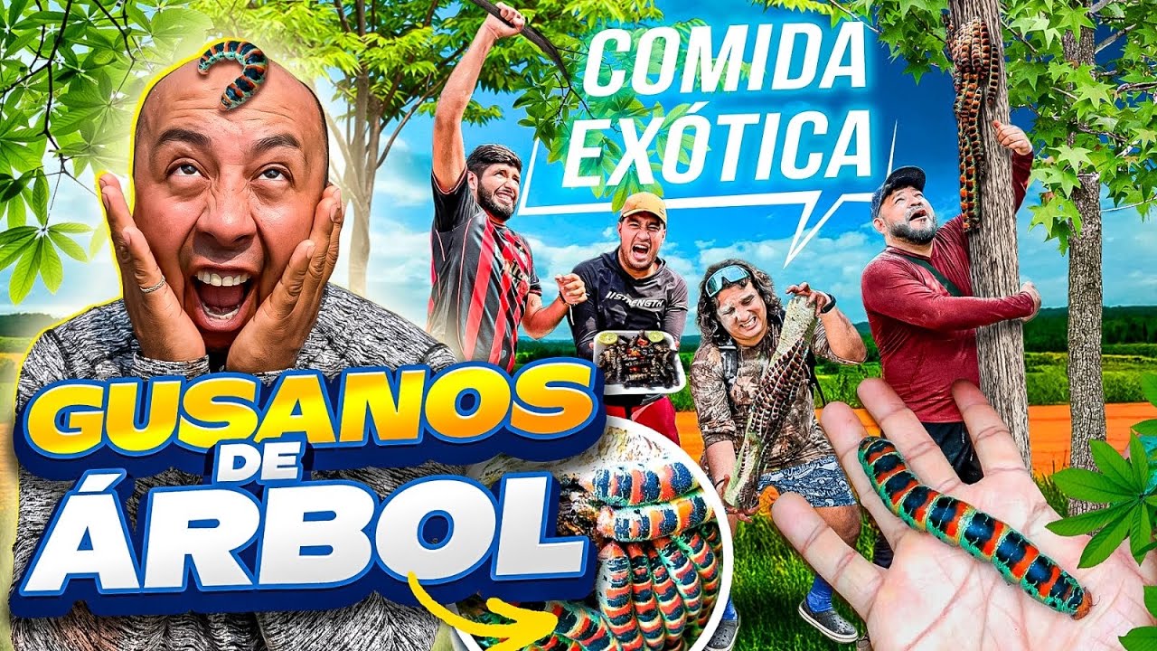 HICIMOS UNA RECETA EXÓTICA | GUSANOS DE ÁRBOL CON EL CREW RETOJORJAIS 