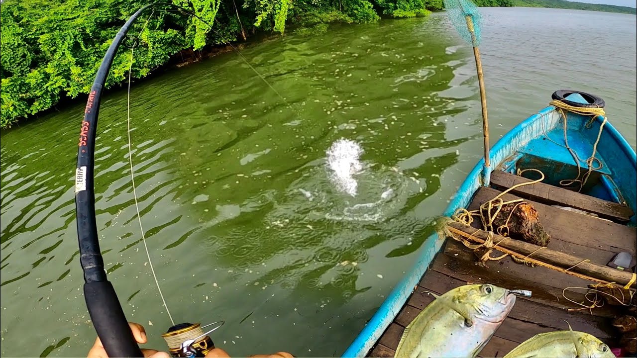 Jigging vs Spinning: Which Fishing Technique is BETTER? ​⁠@Bablu Solkar fishing