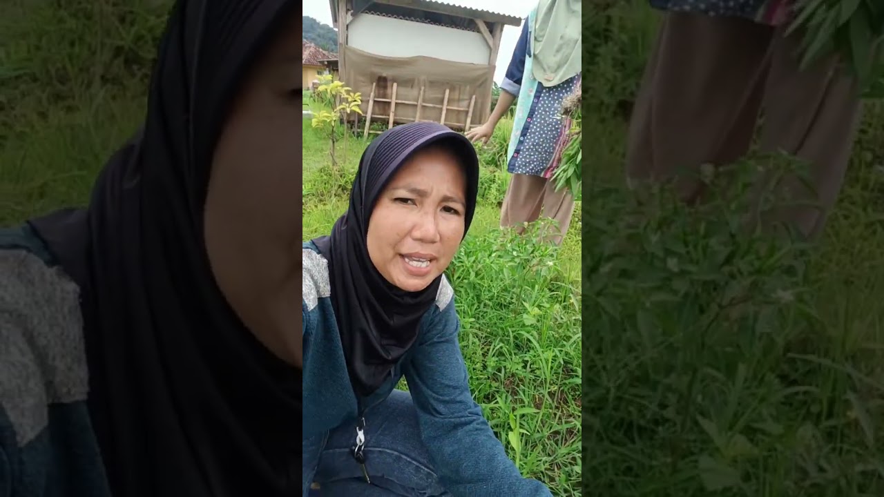 Ngaliwet lagi d saung Adel