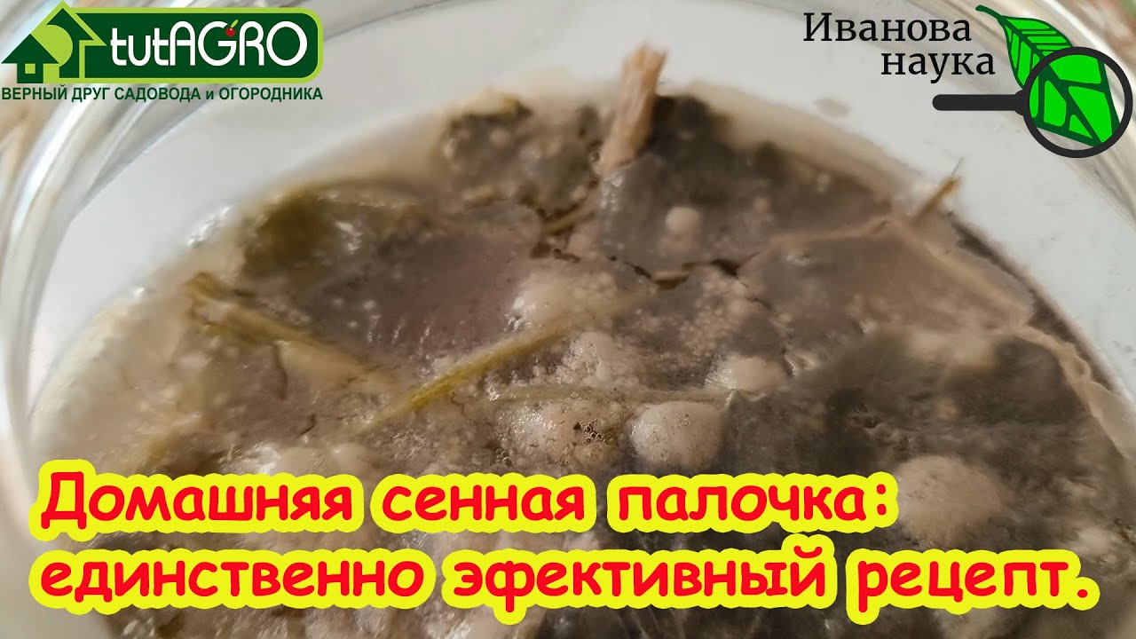 СЕННАЯ ПАЛОЧКА СВОИМИ РУКАМИ: единственный эффективный рецепт. Не варите сено - это ни о чем.