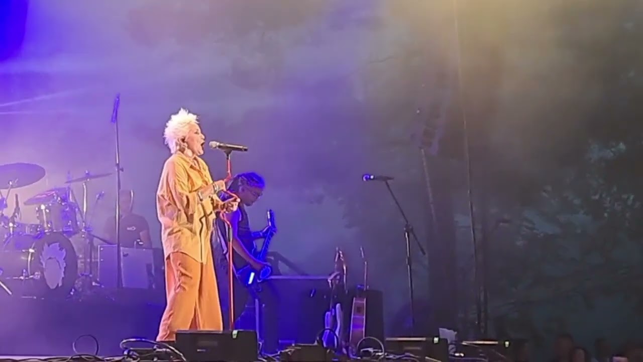 Małgorzata Ostrowska - Taniec pingwina na szkle (live) - Zaniemyśl 20.07.2024 #shorts #rock