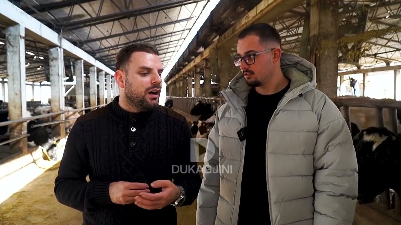 “Momentalisht kemi sasi mbi 2400 litra qumësht” // Lirion flet për suksesin më të madh që ka pas