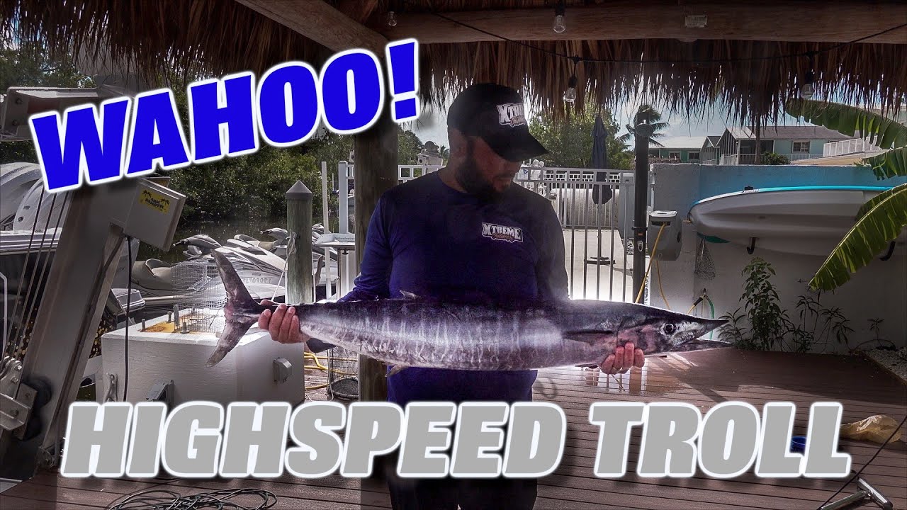 HIGHSPEED TROLLING for WAHOO in Key Largo (Catch & Cook)