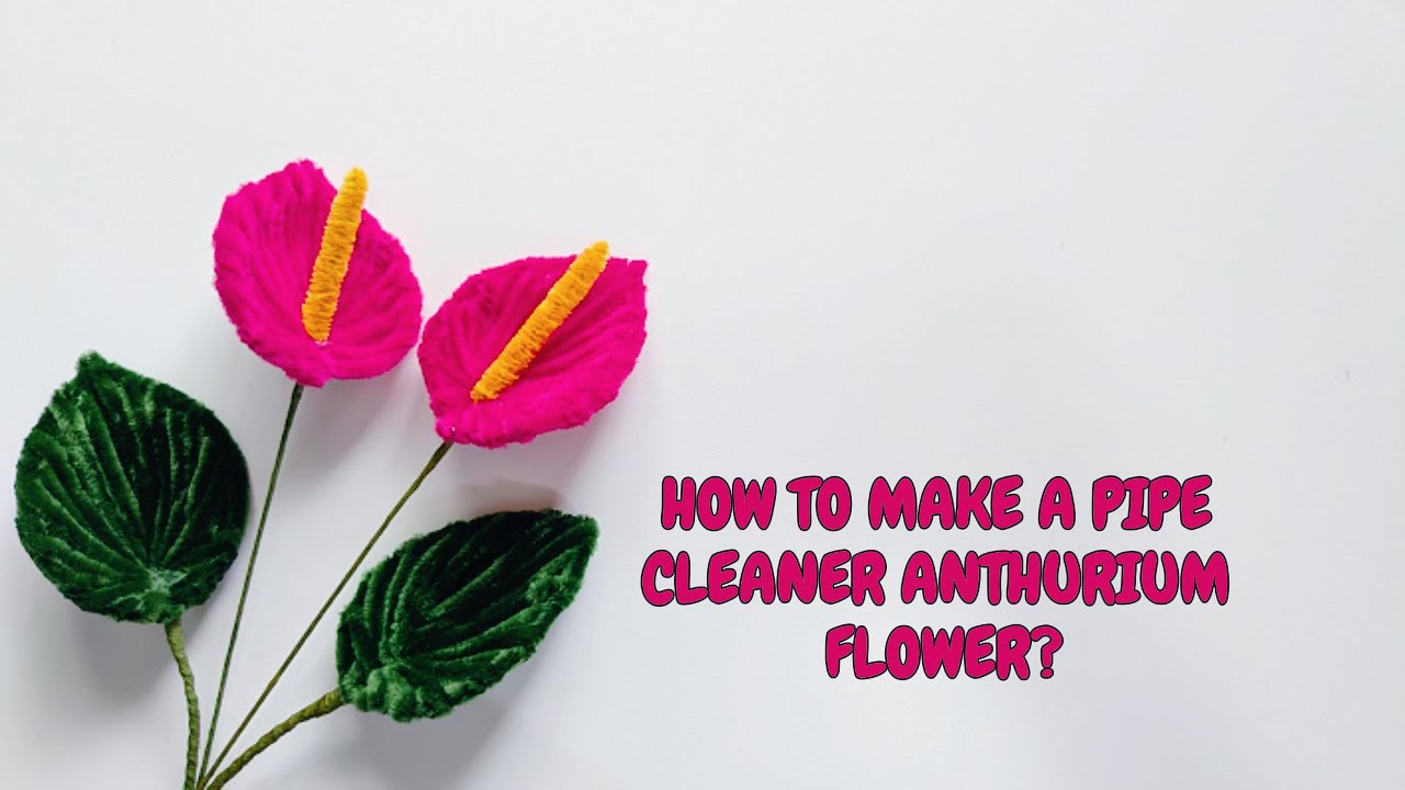 DIY Pipe Cleaner Anthurium flower🩷💚 |  Chenille stem Anthurium | Handmade Anthurium | Fuzzy flowers