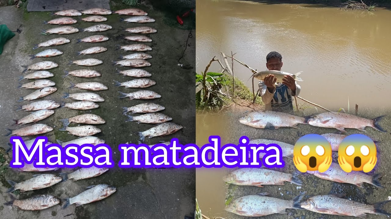 Massa matadeira para curimba!! Essa massa  pega muitooo !!! #curimba #paraopeba #pescaria