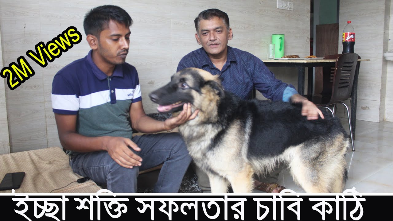 বিদেশি সব ভয়ংকর ও দামী কুকুরের বাচ্চা এখন ঢাকা থেকে কিনতে ও বিস্তারিত জানতে সম্পূর্ণ ভিডিও টি দেখুন
