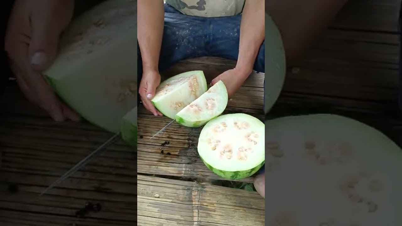 Raw Watermelon🍉🥰😋#shorts.