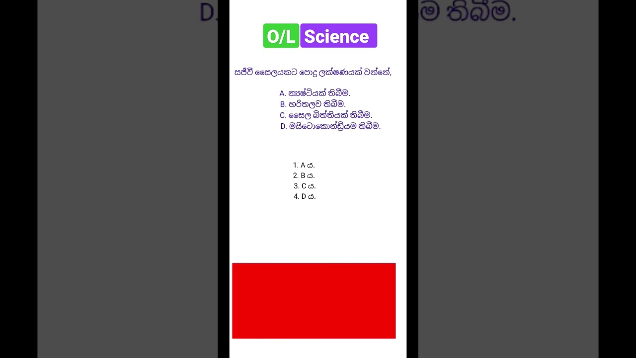 විද්&zwj;යාව Revision 🧠 | 31 | #shorts #science #ol #widyawa #samanyapela #mcq #විද්යාව #සාමාන්යපෙළ
