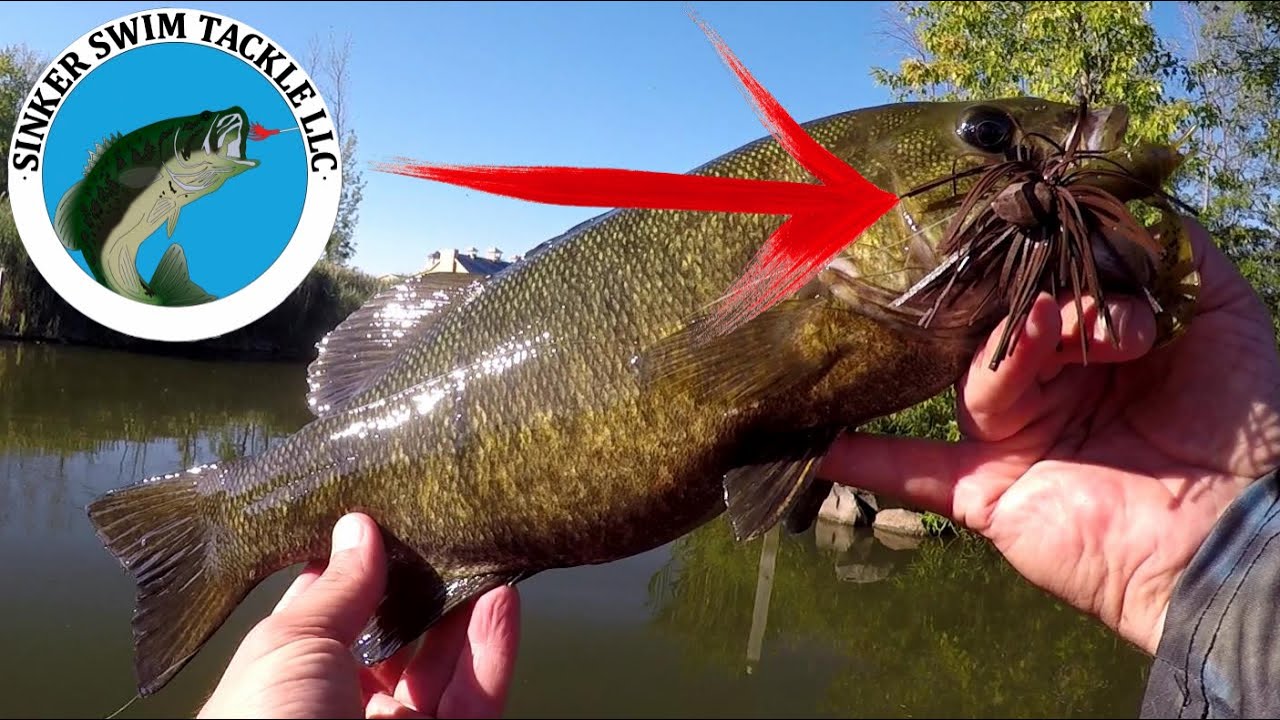 Seneca River Exploration  (SinkeR Swim Tackle)