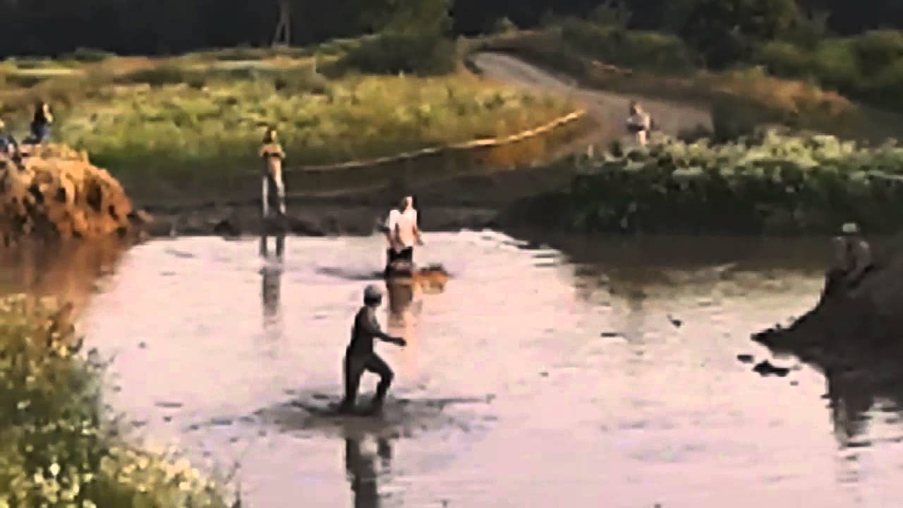 Wyścigi Terenwizji na MudParty