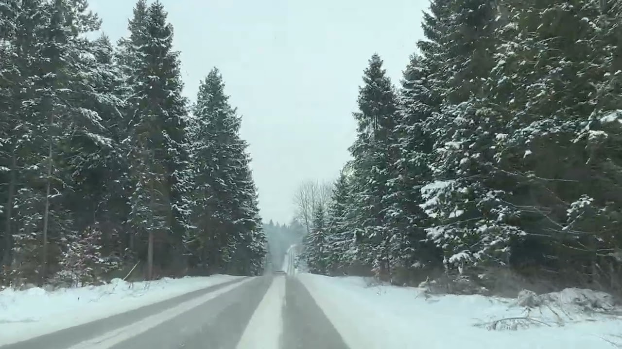 IMG 001371