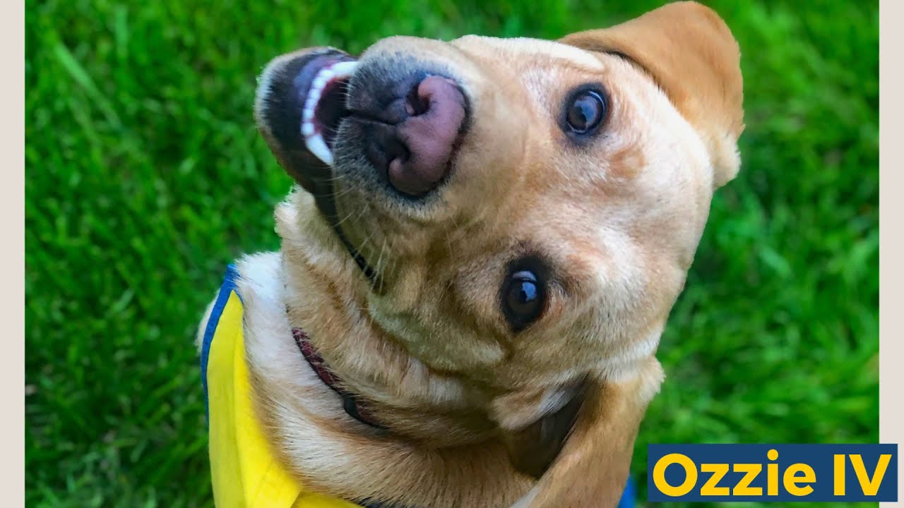 South Central Region November 10, 2020 Graduating Class