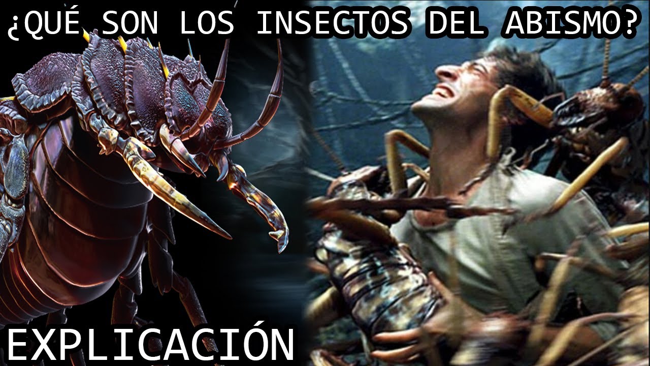 ¿Qué son los Insectos del Abismo? EXPLICACIÓN | Los Insectos del Abismo de King Kong EXPLICADOS