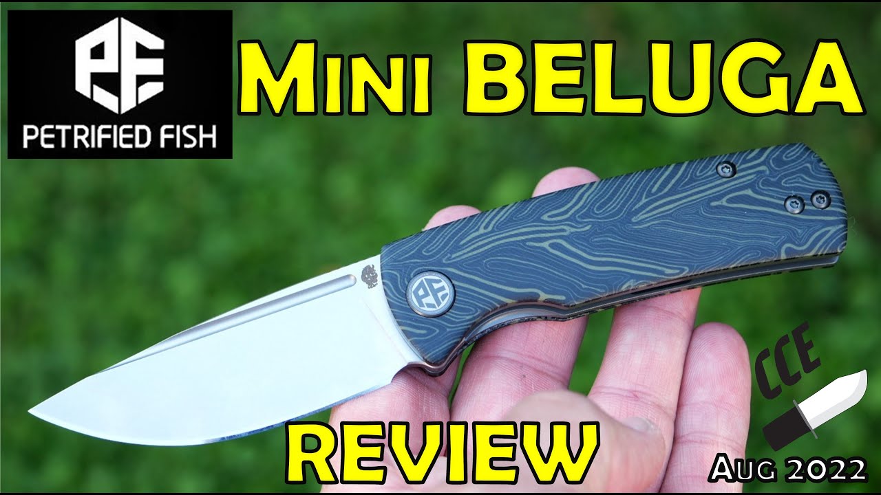 FULL Review of the Petrified Fish MINI BELUGA - Model # PFP01X