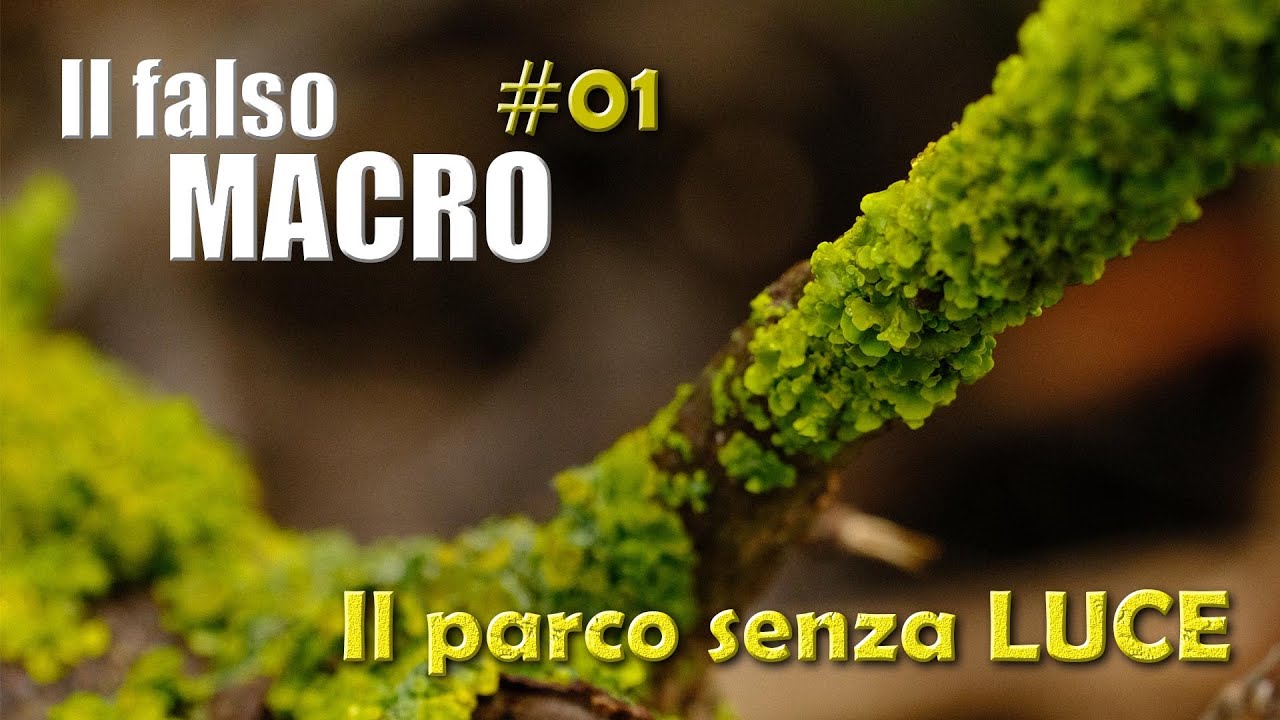IL FALSO MACRO ep 1- Il parco senza sole