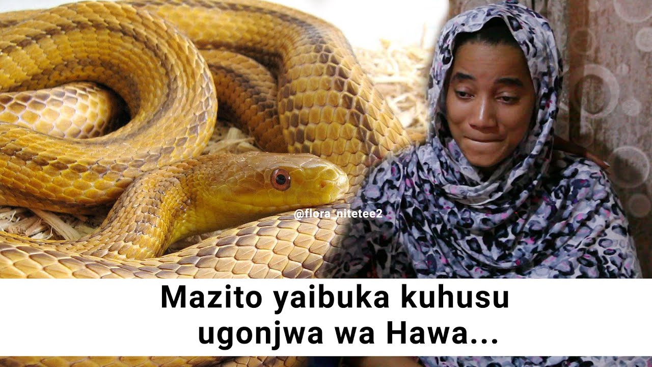 MAZITO YAIBUKA.. UGONJWA WA HAWA