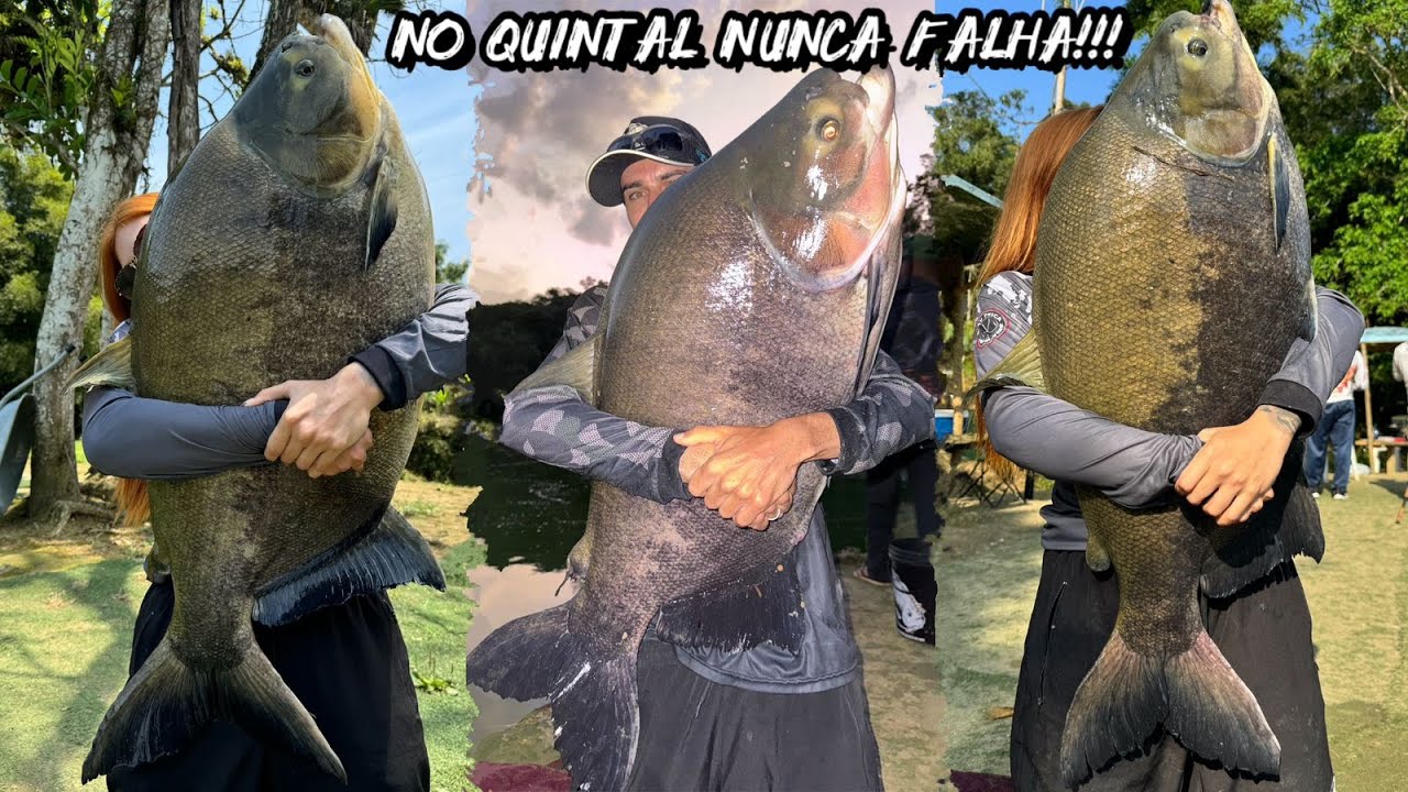 NO QUINTAL NUNCA FALHA - PESQUEIRO 3 IRMÃOS