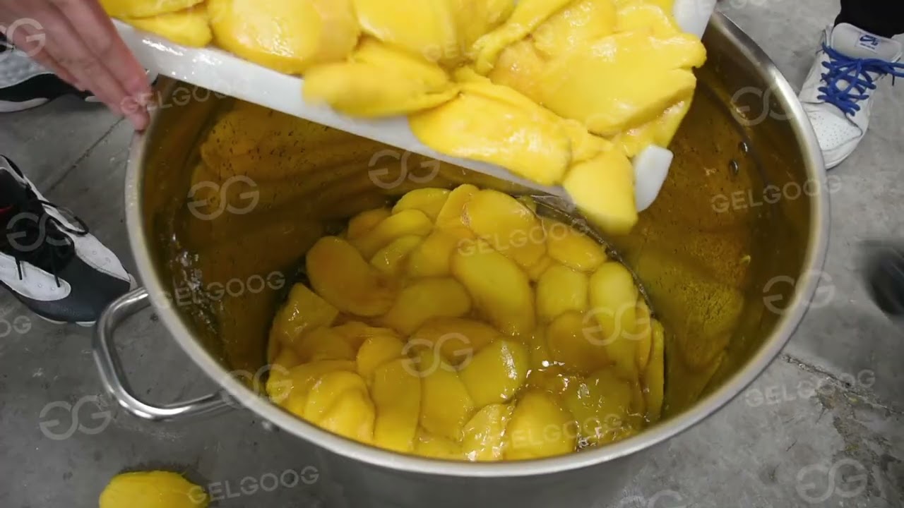 dried mango slice production line/Mango slice drying line/Fruit drying machine/Fruit washing machine