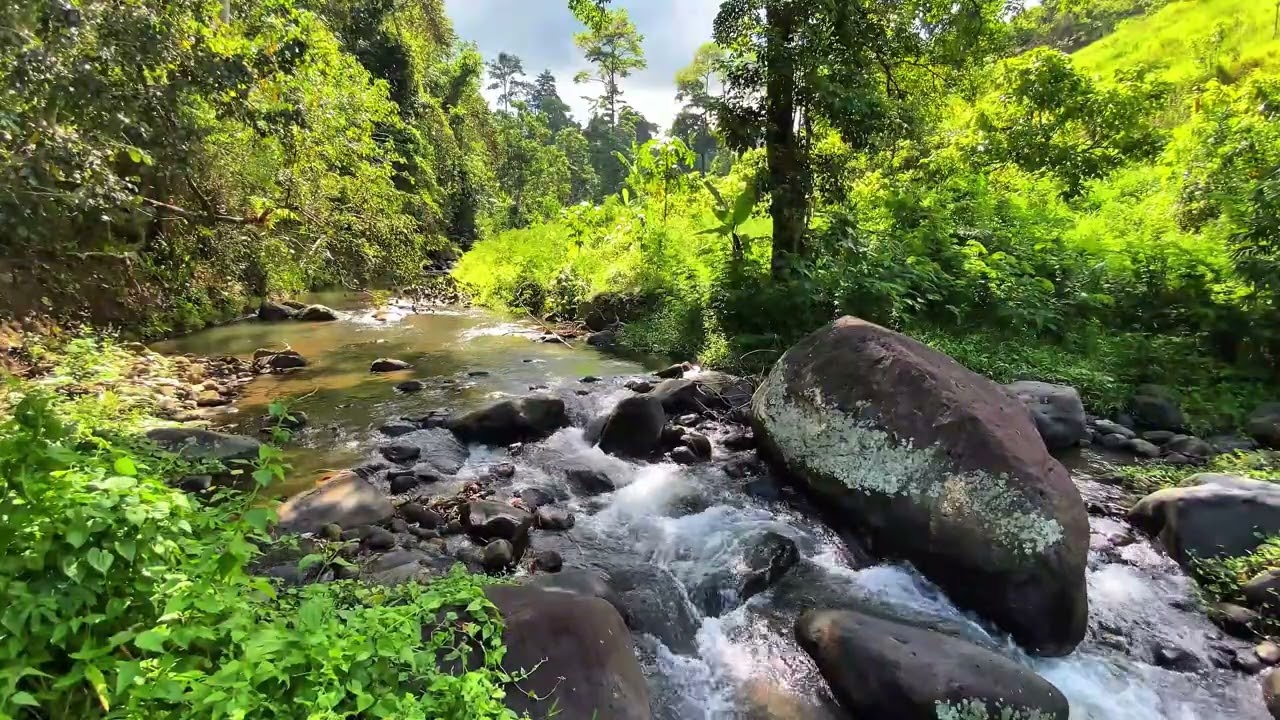 🌙 Drift Into Silence | Calm Forest River Sounds For Deep Sleep