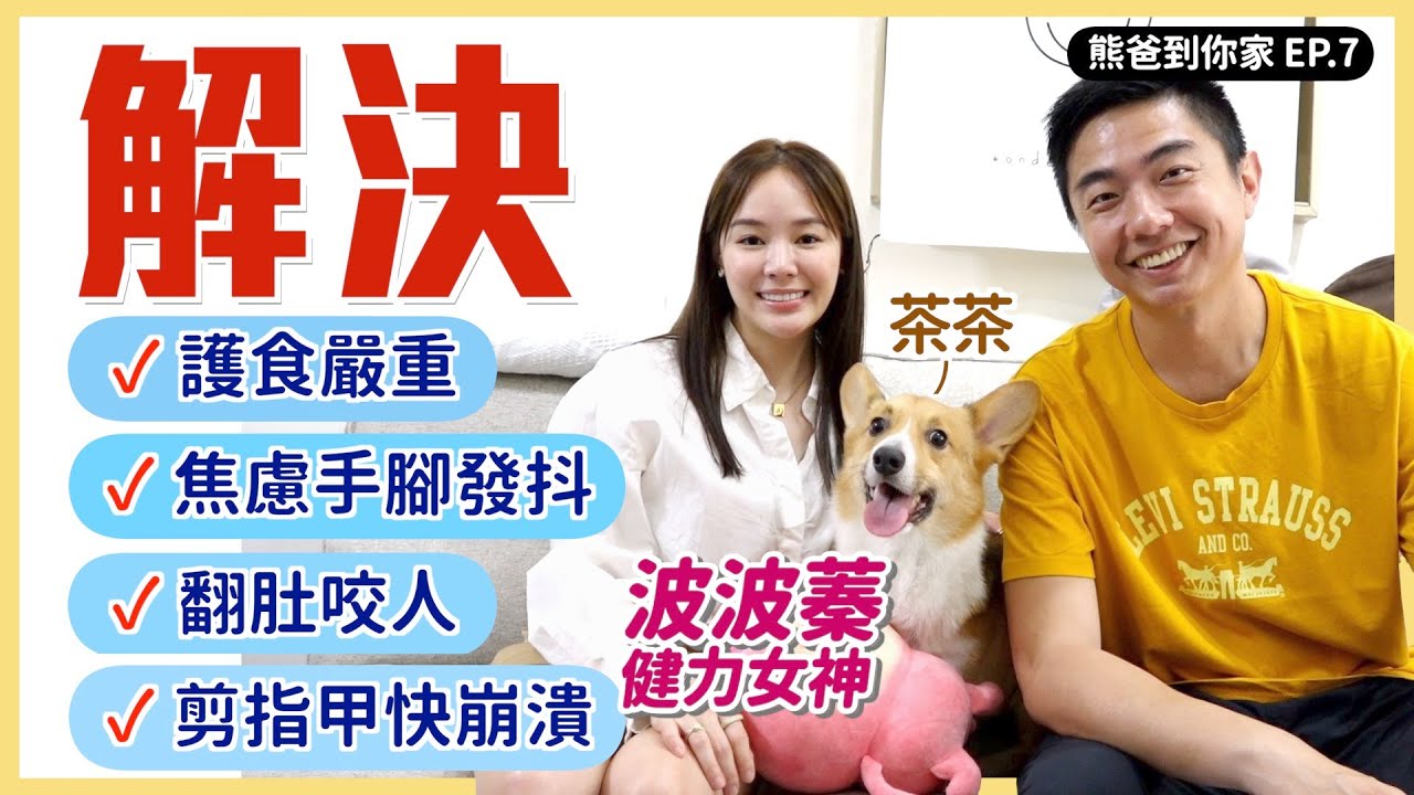 五歲柯基為護食咬人，情緒焦慮到手腳發抖！ 訓練狗翻肚這樣做對嗎？ ft.波波蓁｜熊爸到你家EP.7｜熊爸估狗