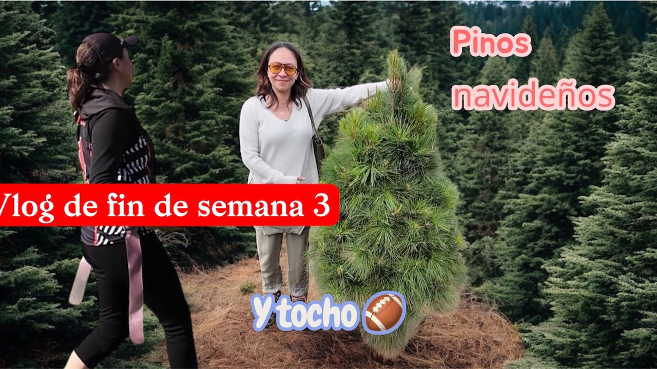 Así fue nuestra visita al Ocotal en Villa del carbón 