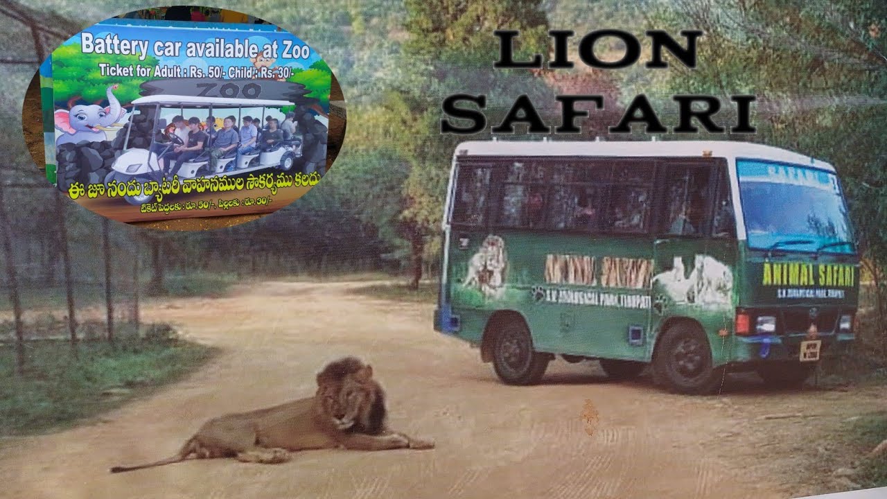 Sri Venkateshwara Zoological park in tirupati A.p./tirupati zoo lion Safari /zoo park tirupati 🦁🦁🦁