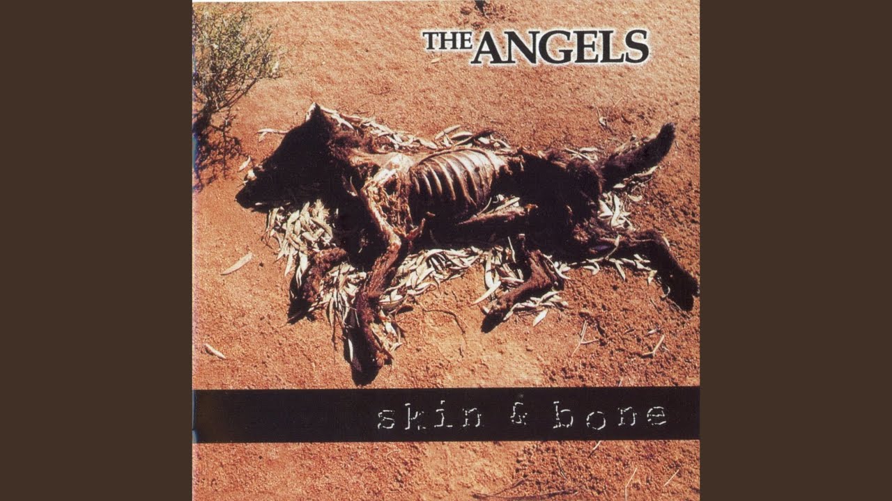 Skin & Bone
