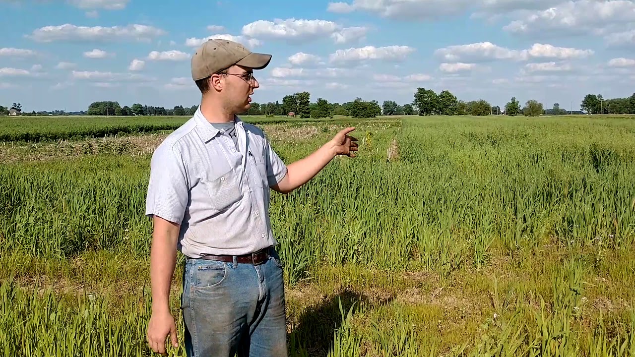 Ride Along with Jim Jacobs - Organic Soybeans in Napoleon, OH