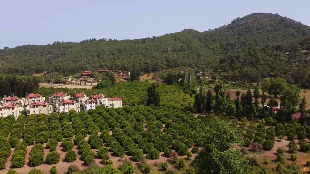 Kuzdere'nin Arkasından At Çiftliğine