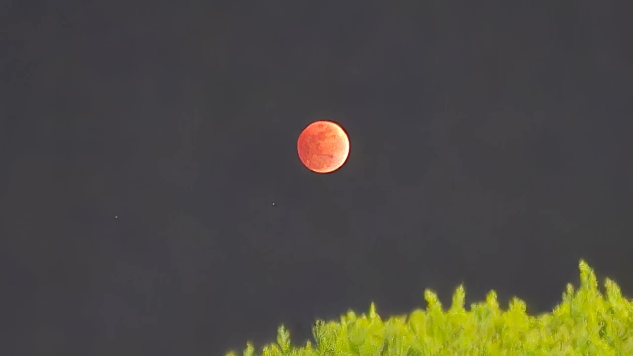 Letter to the Moon